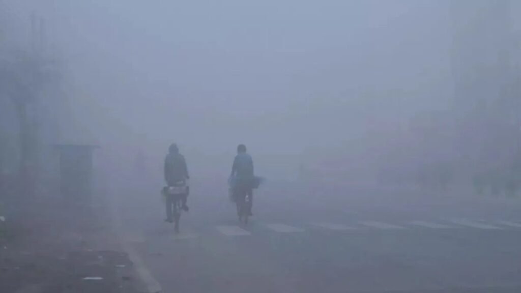 पंजाब में सर्द हवाओं से बढ़ी ठिठुरन:फरीदकोट 5.2 °C के साथ सबसे ठंडा, बठिंडा में पारा 25 डिग्री सेल्सियस
