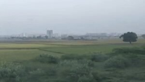 पंजाब-चंडीगढ़ में 28 फरवरी तक मौसम ड्राई:अमृतसर में कोहरा छाया, दिन में तेज धूप निकलेगी, अधिकतम तापमान बढ़ेगा