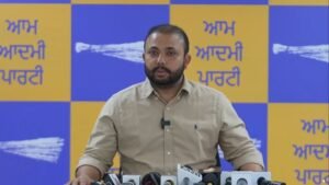 AAP यूथ विंग ‘शानदार 4 साल, भगवंत मान दे नाल’ मुहिम को हर गांव और वार्ड तक ले जाएगी: परमिंदर गोल्डी