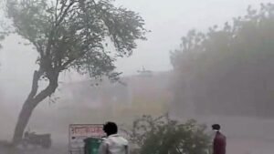 पंजाब के 6 जिलों में अगले 20 घंटे भारी! मौसम विभाग का आंधी-तूफान, बारिश और ओलावृष्टि का अलर्ट